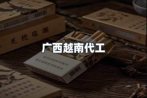 广西越南代工